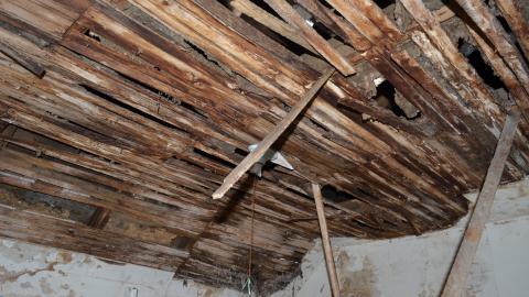 Mr. Barn Best Poser - DSC_0638.JPG