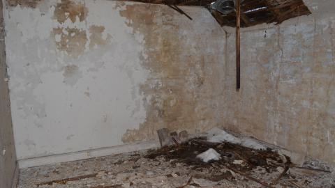 Mr. Barn Best Poser - DSC_0637.JPG