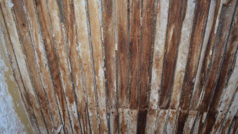 Mr. Barn Best Poser - DSC_0636.JPG