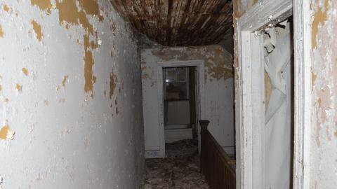 Mr. Barn Best Poser - DSC_0635.JPG