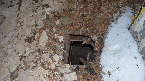 Mr. Barn Best Poser - DSC_0634.JPG