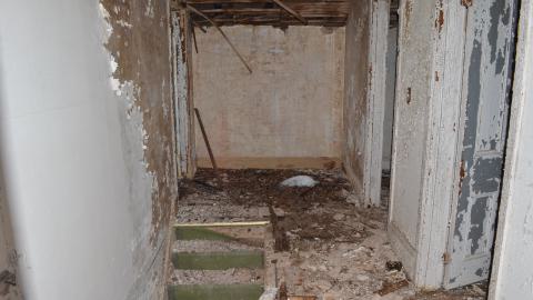 Mr. Barn Best Poser - DSC_0633.JPG