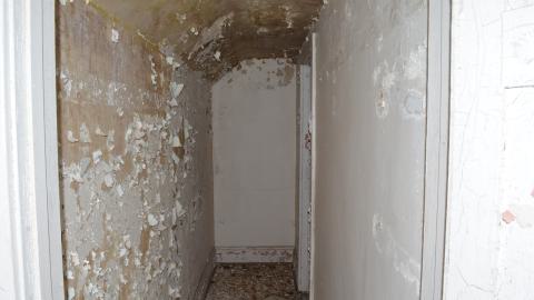 Mr. Barn Best Poser - DSC_0632.JPG