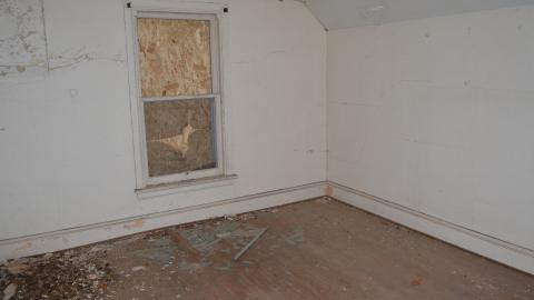 Mr. Barn Best Poser - DSC_0631.JPG