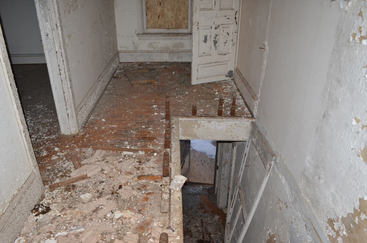 Mr. Barn Best Poser - DSC_0629.JPG