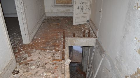 Mr. Barn Best Poser - DSC_0629.JPG