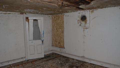 Mr. Barn Best Poser - DSC_0628.JPG