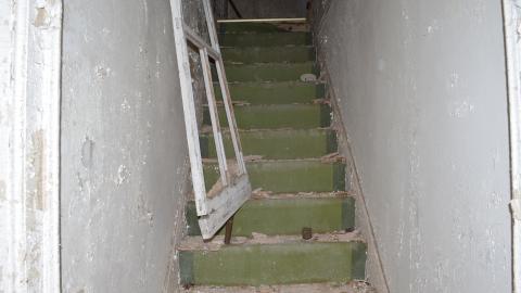 Mr. Barn Best Poser - DSC_0627.JPG