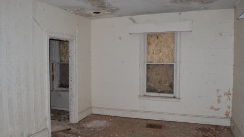 Mr. Barn Best Poser - DSC_0625.JPG