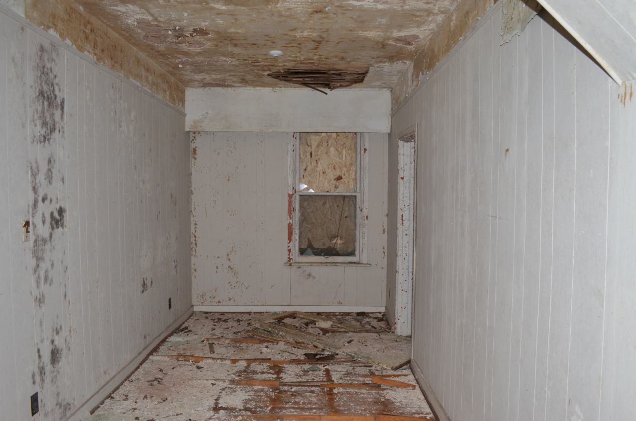 Mr. Barn Best Poser - DSC_0624.JPG