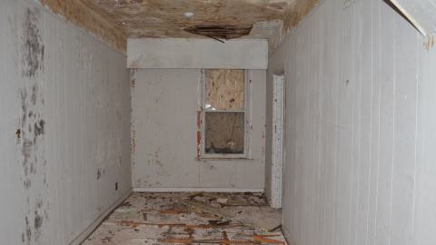 Mr. Barn Best Poser - DSC_0624.JPG