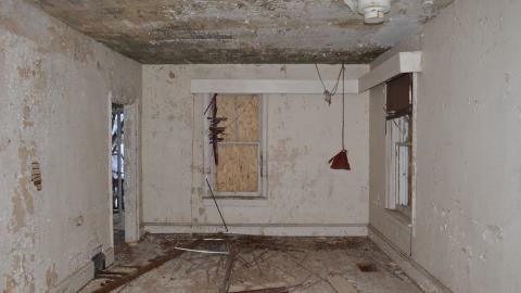 Mr. Barn Best Poser - DSC_0623.JPG