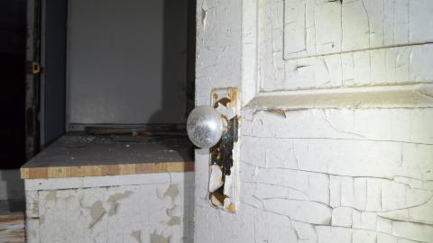 Mr. Barn Best Poser - DSC_0622.JPG