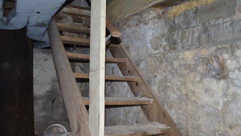 Mr. Barn Best Poser - DSC_0621.JPG