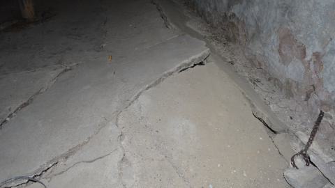 Mr. Barn Best Poser - DSC_0620.JPG