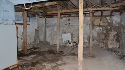 Mr. Barn Best Poser - DSC_0619.JPG