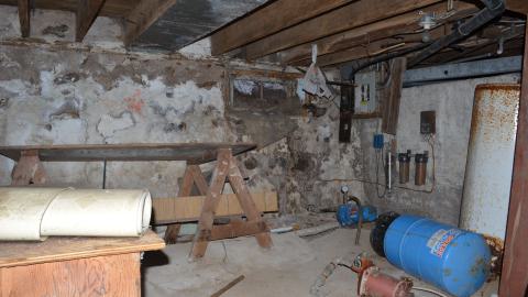 Mr. Barn Best Poser - DSC_0618.JPG