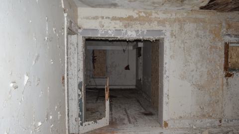 Mr. Barn Best Poser - DSC_0617.JPG