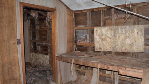 Mr. Barn Best Poser - DSC_0615.JPG