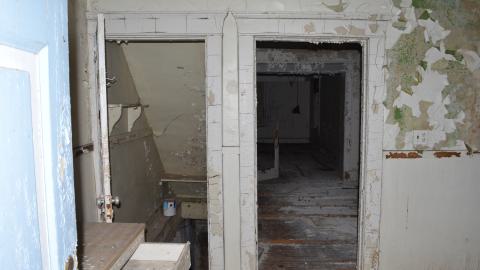 Mr. Barn Best Poser - DSC_0614.JPG