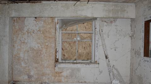 Mr. Barn Best Poser - DSC_0612.JPG