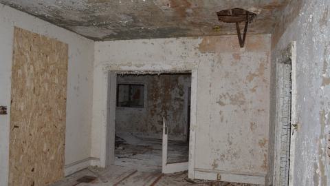 Mr. Barn Best Poser - DSC_0611.JPG