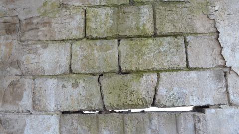 Photo from Based Barn