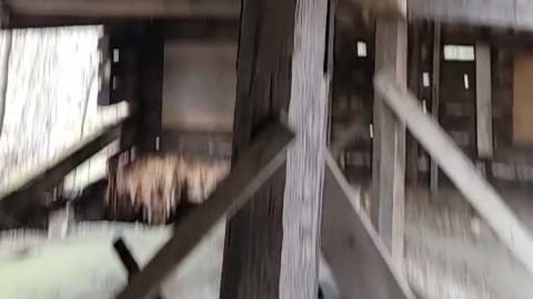 Collapsing Cabin - Chippewas Of Rama First Nation, Ontario