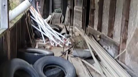 Horse Stables - November 2024 - IMG_5440.jpeg