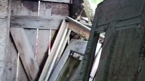 Horse Stables - November 2024 - IMG_5442.jpeg