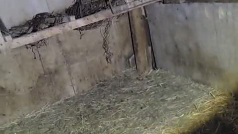 Cooper’s Falls - November 2024 - IMG_5448.jpeg