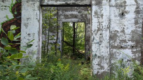 Depot Harbour - PXL_20240816_151135407.jpg