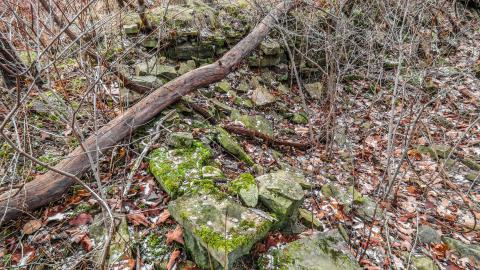 Watch for Holes - IMG_7359-2X.jpg