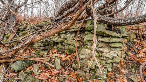 Watch for Holes - IMG_7360-2X.jpg