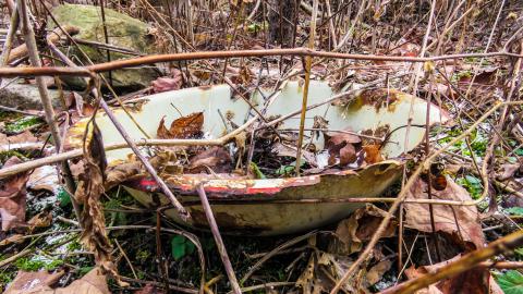 Watch for Holes - IMG_7364-2X.jpg