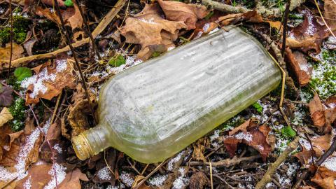 Watch for Holes - IMG_7366-2.jpg