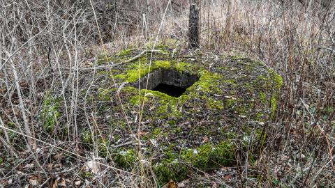 Watch for Holes - IMG_7368-2.jpg