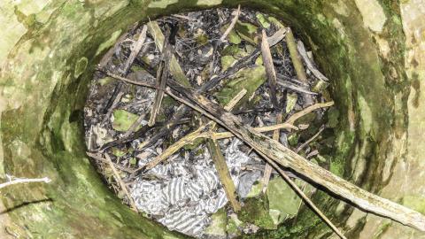 Watch for Holes - IMG_7372-3.jpg