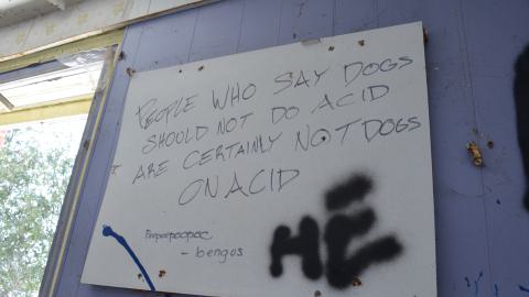 The Wind My Num 1 Opp - DSC_0457.JPG