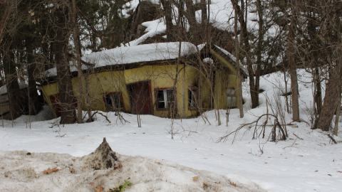 Photo from Cooper’s Falls - March 2025