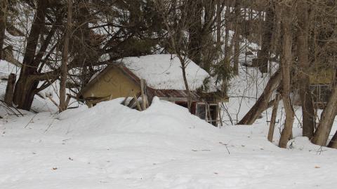 Cooper’s Falls - March 2025 - IMG_3646.JPG