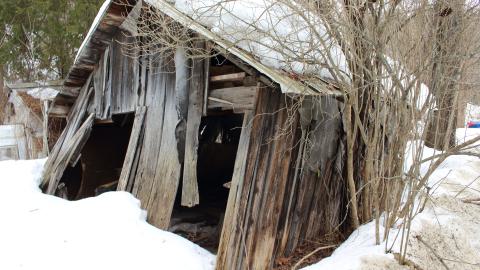 Photo from Cooper’s Falls - March 2025