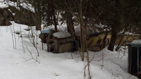 Cooper’s Falls - March 2025 - IMG_3652.JPG