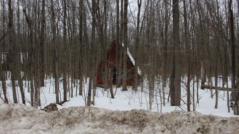 Red Cabin - March 12, 2025 - IMG_3670.JPG