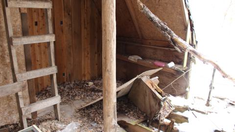 Red Cabin - March 12, 2025 - IMG_3674.JPG