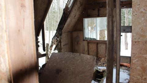 Red Cabin - March 12, 2025 - IMG_3677.JPG