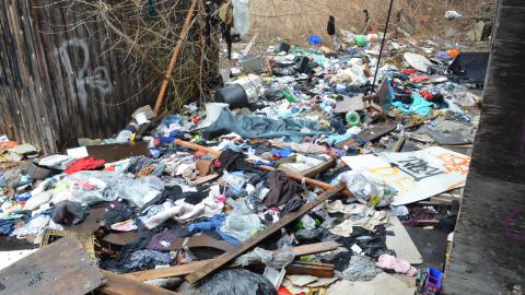 Squat Like Abc - DSC_0868.JPG