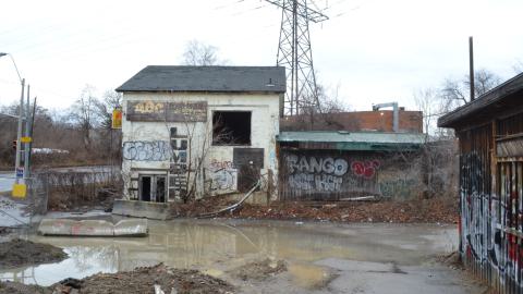 Squat Like Abc - DSC_0860.JPG