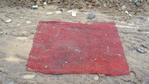 Squat Like Abc - DSC_0856.JPG