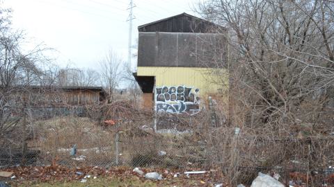 Squat Like Abc - DSC_0853.JPG